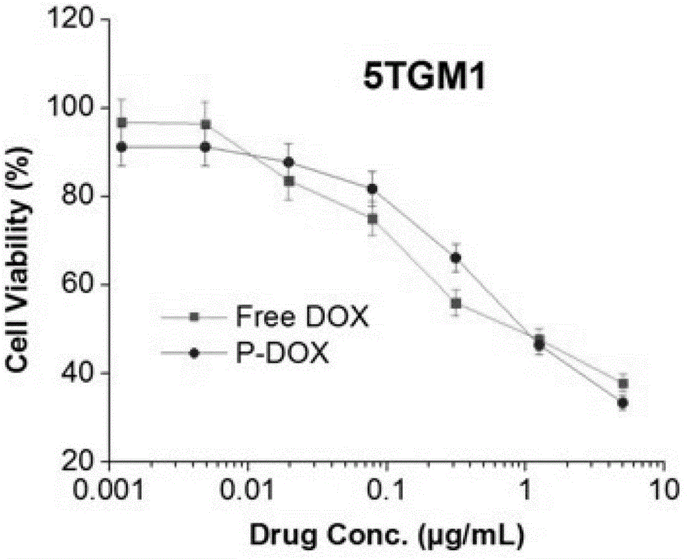 A kind of dendritic polymer nano drug delivery carrier targeting doxorubicin and its preparation method