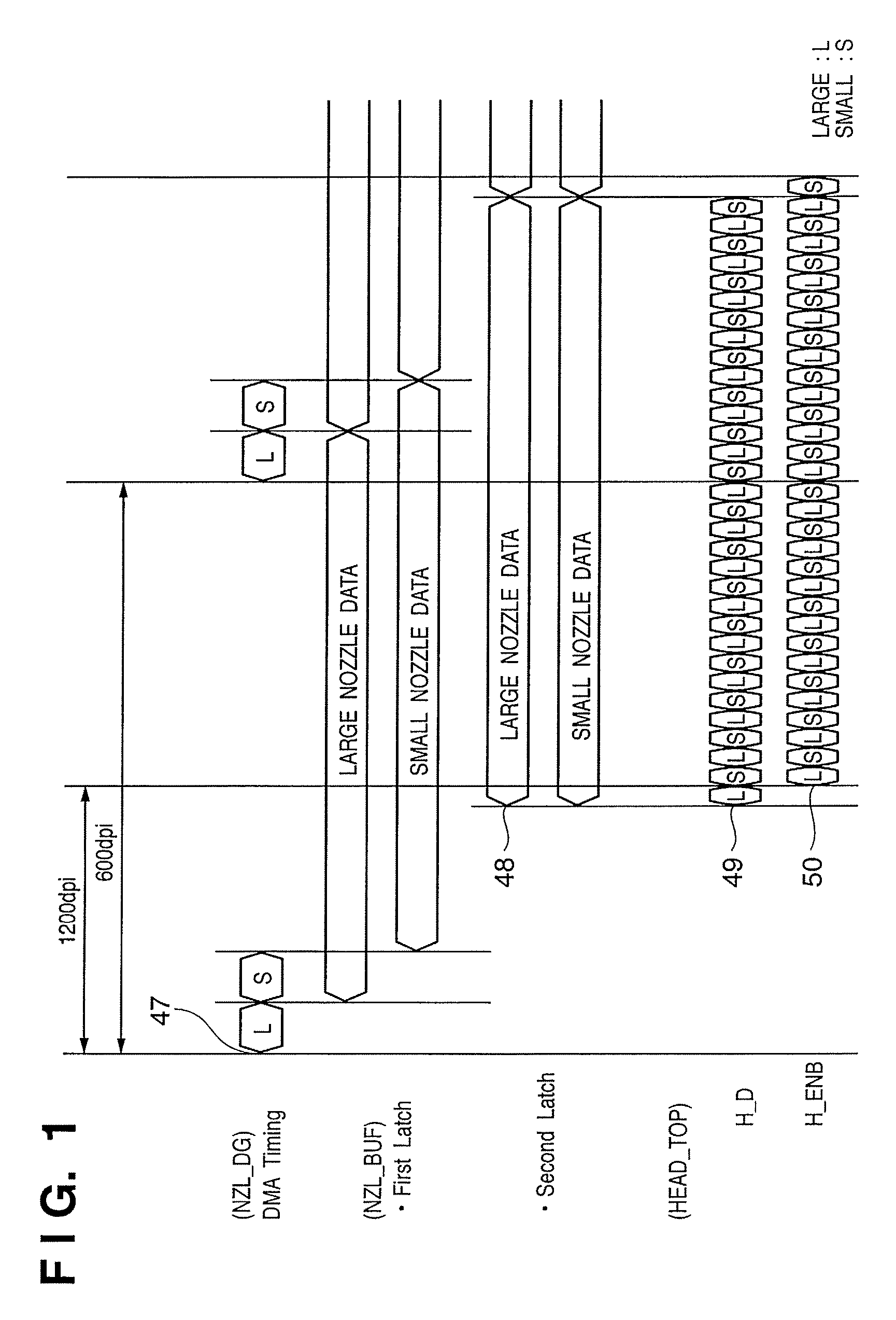 Apparatus and method for driving first and second nozzle arrays
