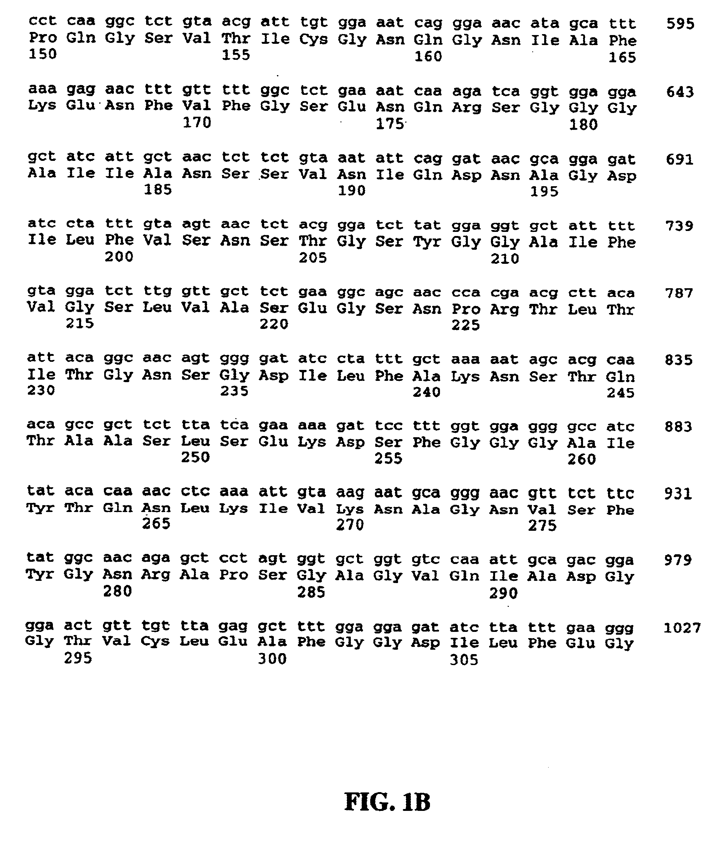 Chlamydia antigens and corresponding DNA fragments and uses thereof