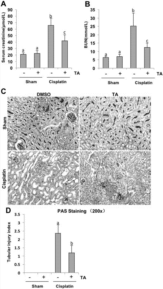 Application of inhibitor of histone deacetylase HDAC 6 in preparing drugs for preventing and treating acute kidney injury