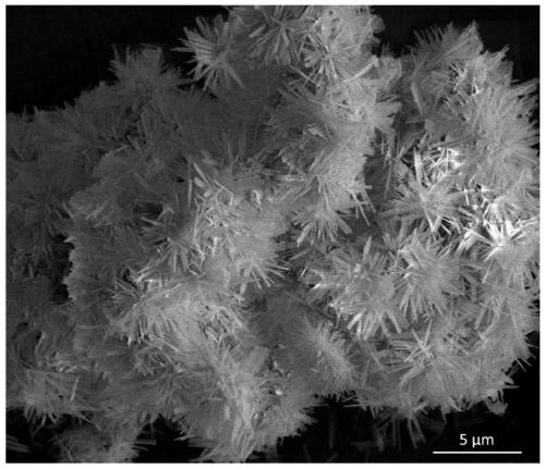 Controllable synthesizing method for hydroxy zinc fluoride nanometer materials with different morphologies and environmental photocatalytic application of hydroxy zinc fluoride nanometer materials