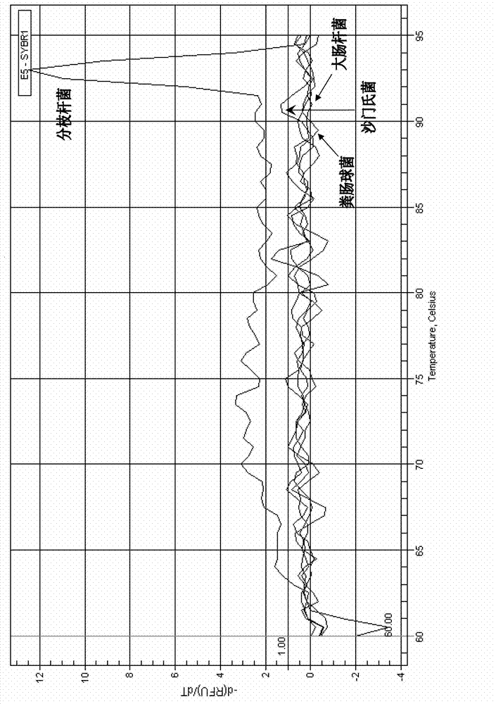 Primer pair and standard substance for detecting mycobacteria and application thereof