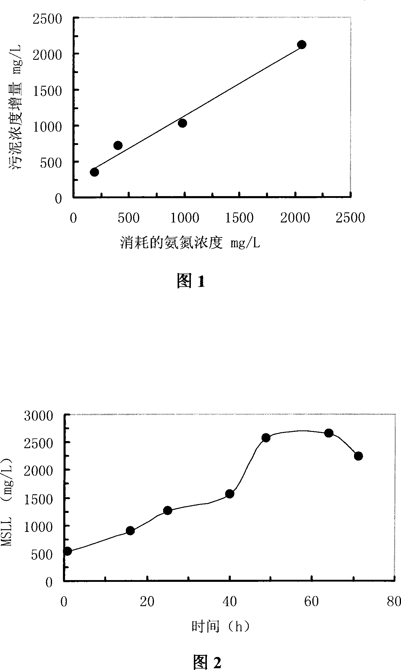 Method for cultivating nitrosobacteria flora and method for treating wastwater containing ammonia nitrogen