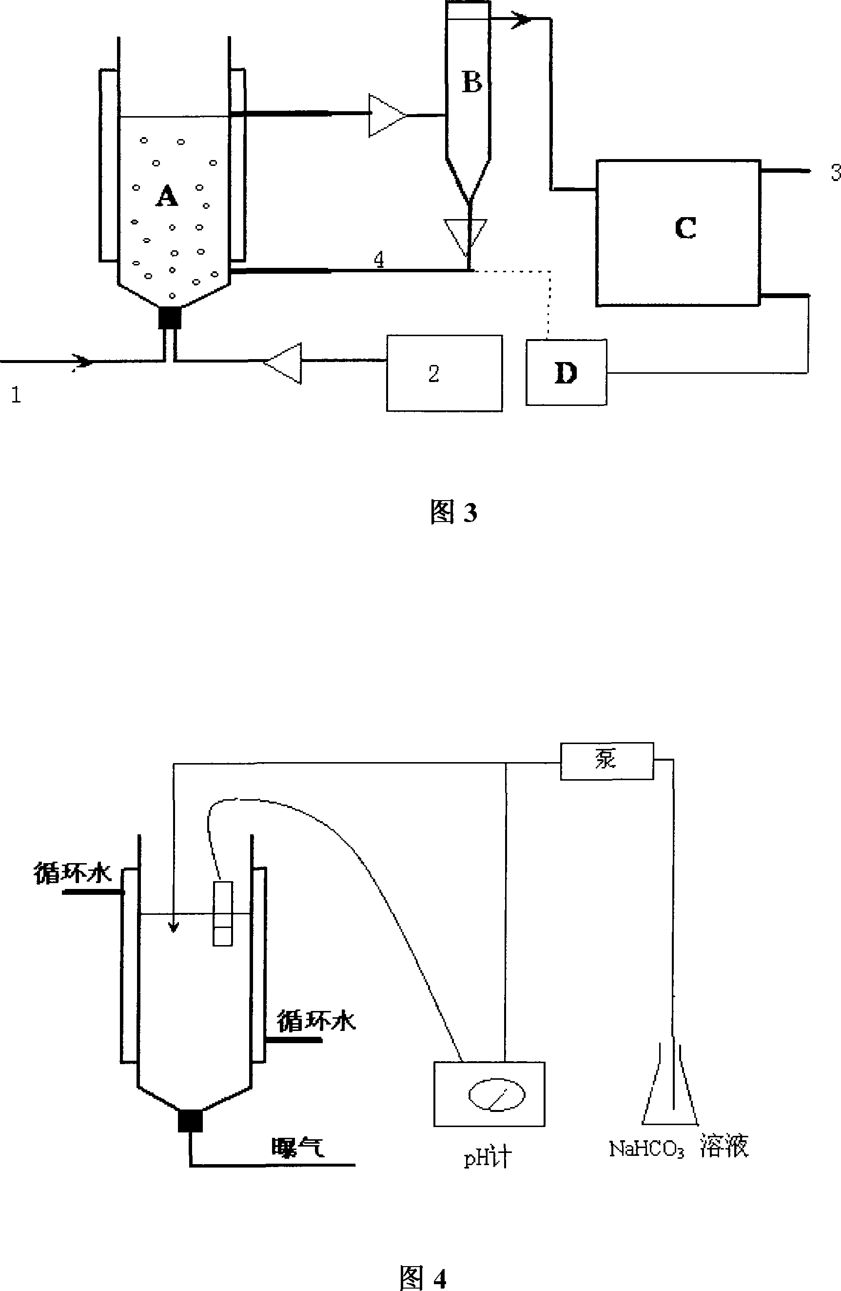 Method for cultivating nitrosobacteria flora and method for treating wastwater containing ammonia nitrogen