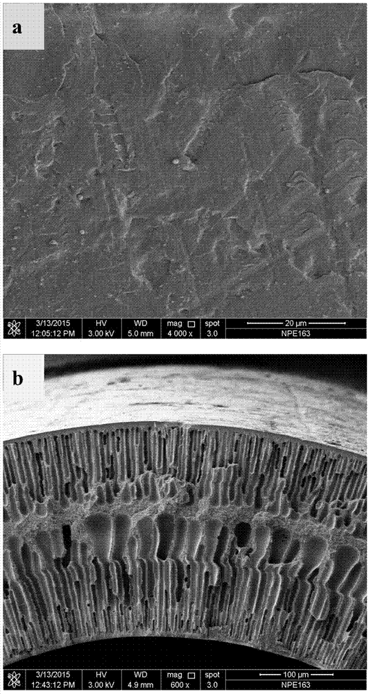 NaA type molecular sieve membrane synthesized on surface of organic hollow fiber, and production method thereof