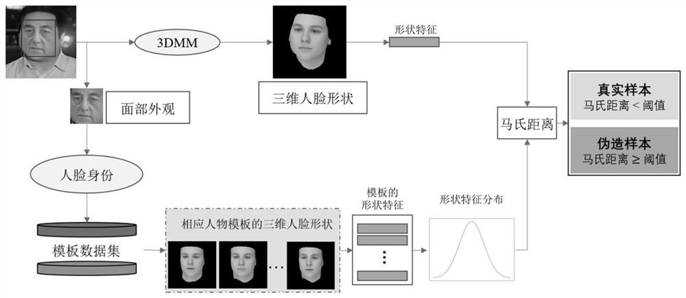 Face changing forgery detection method, system and equipment based on three-dimensional shape of human face