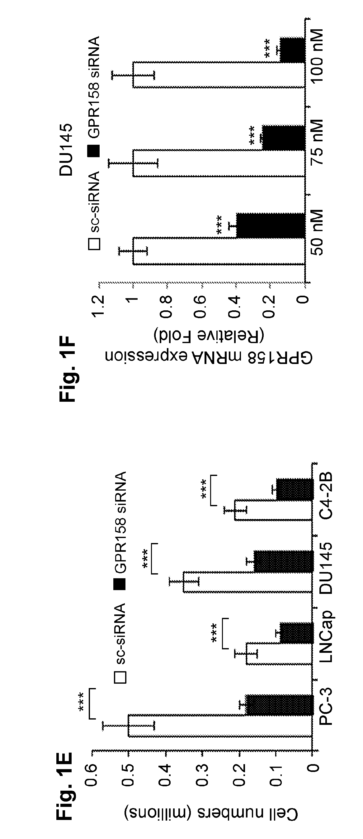 Biotherapeutics targeting gpr158 for cancer