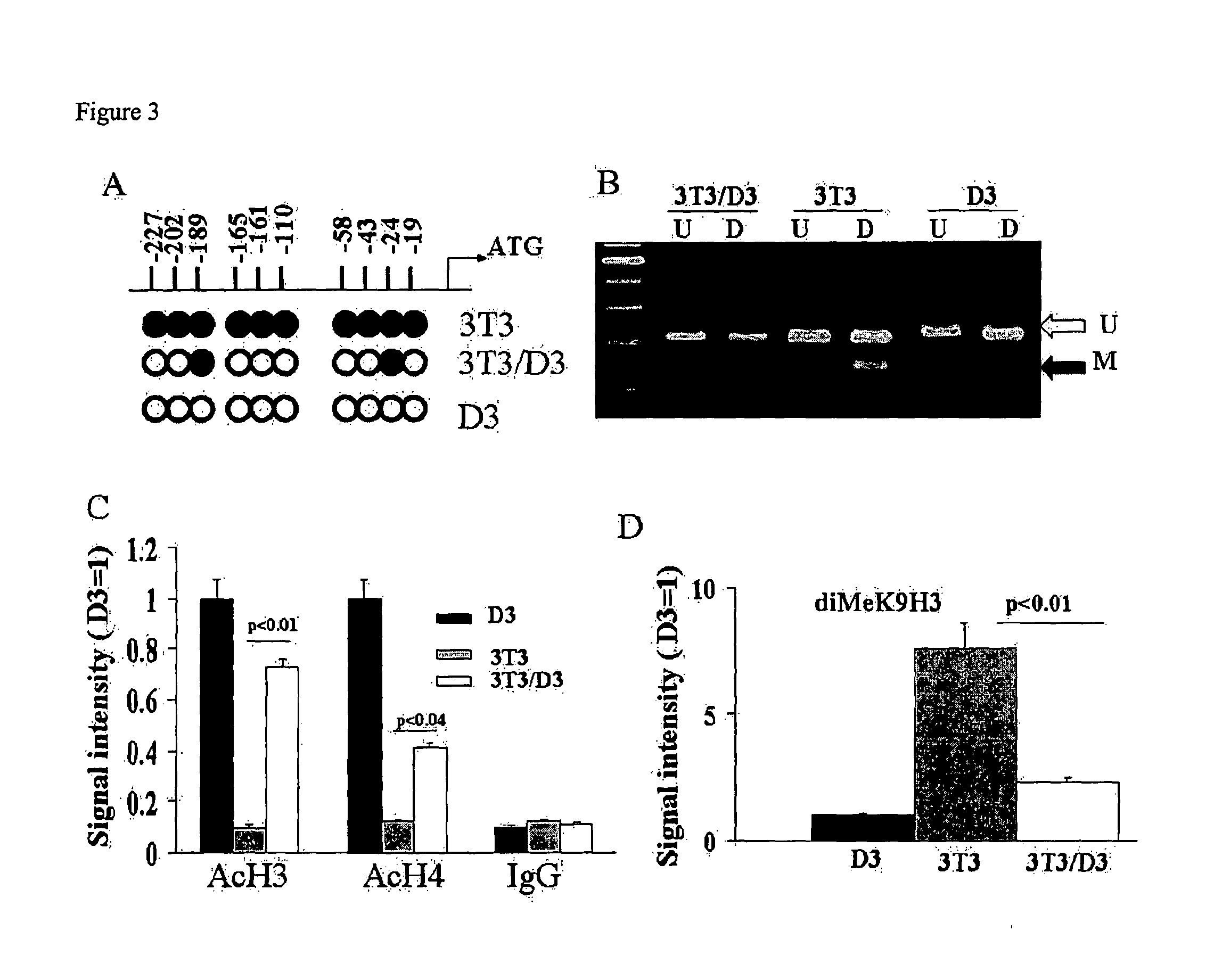 Methods for Reprogramming Adult Somatic Cells and Uses Thereof