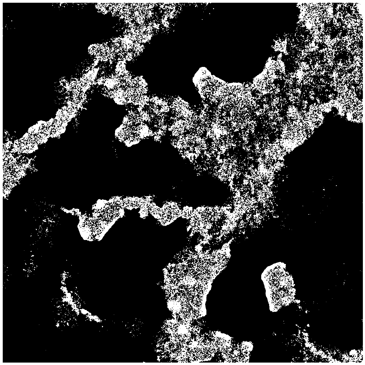 Bioactive bacterial cellulose-zein composite film and preparation method thereof