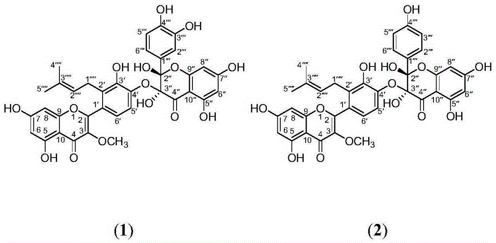 Preparing method and application of two isopentene-base biflavones podoverine B and podoverine C in sinopodophyllum hexandrum