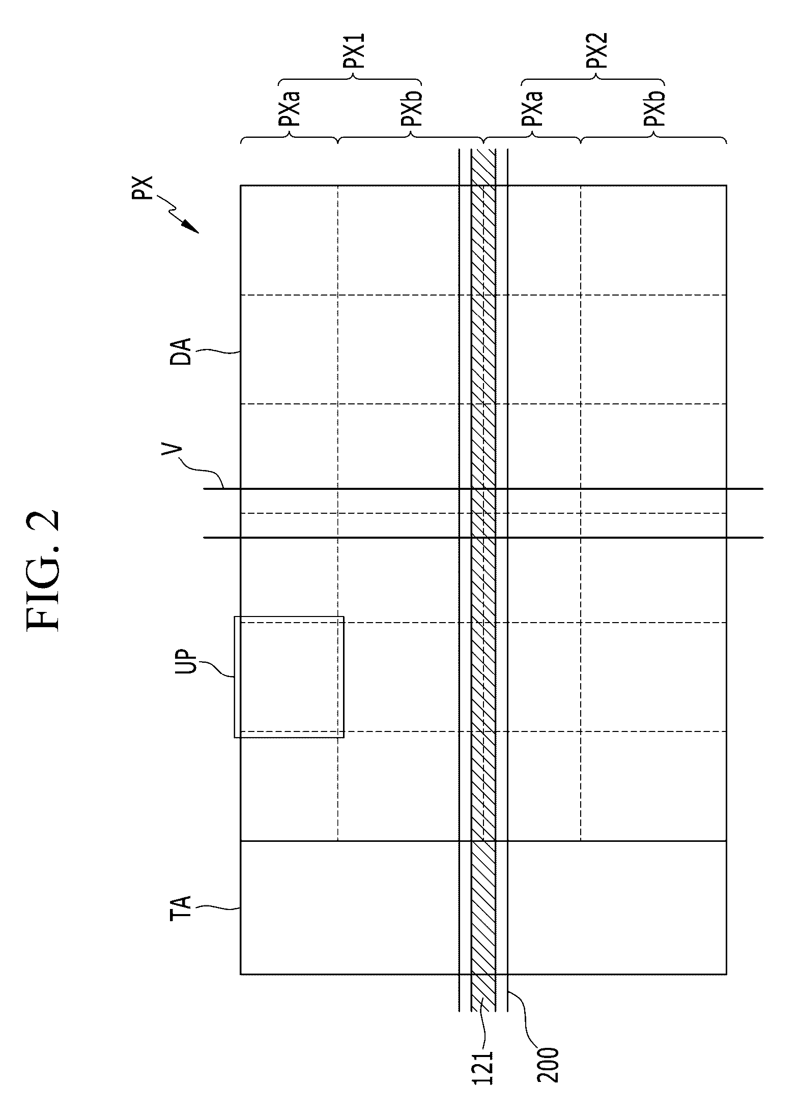 Liquid crystal display including curved shield electrode