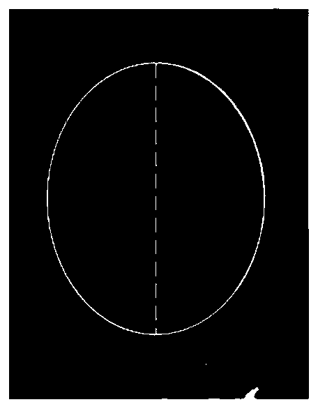 Method for estimating body length and body weight based on prawn eyeball diameter