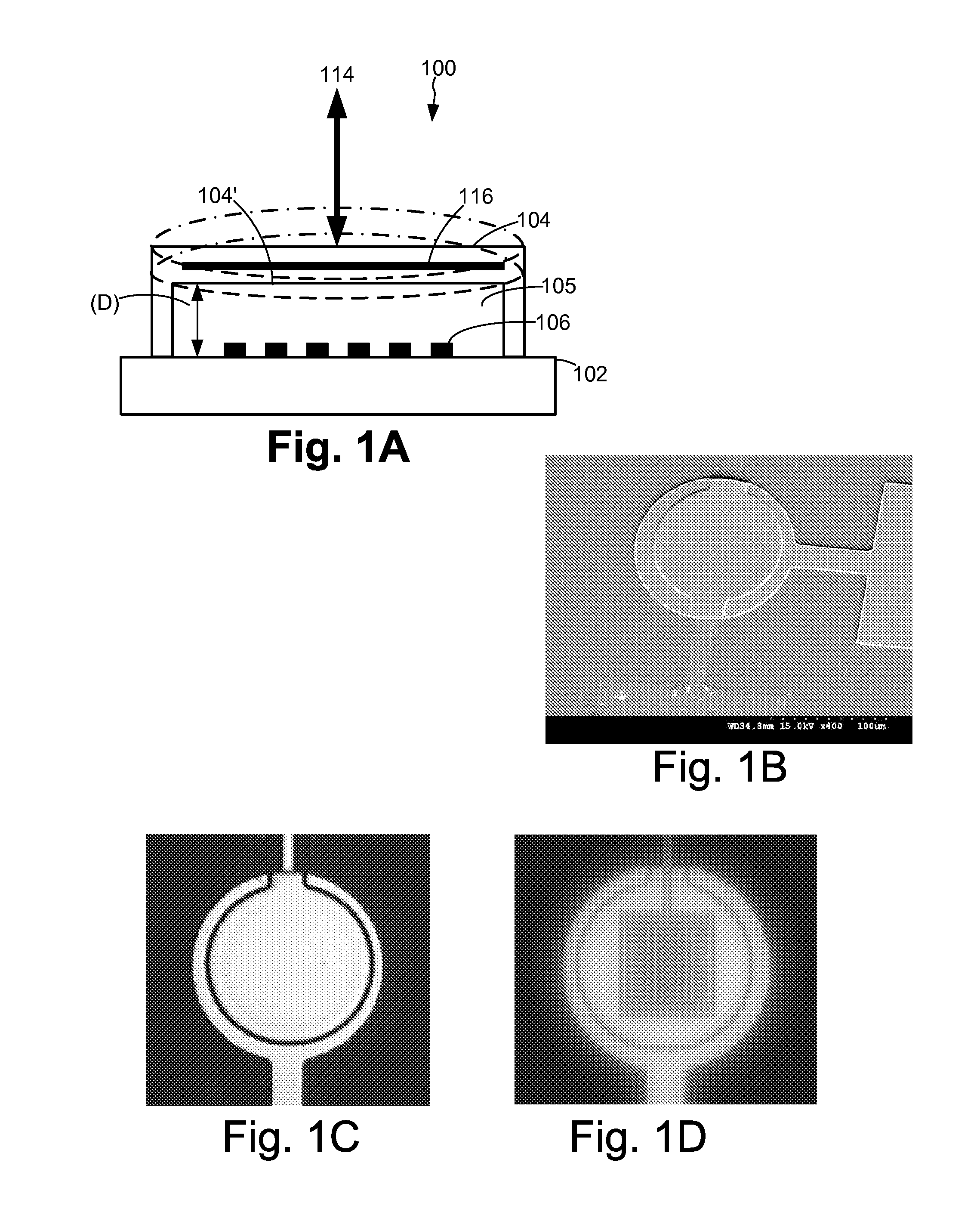 Fast Microscale Actuators for Probe Microscopy