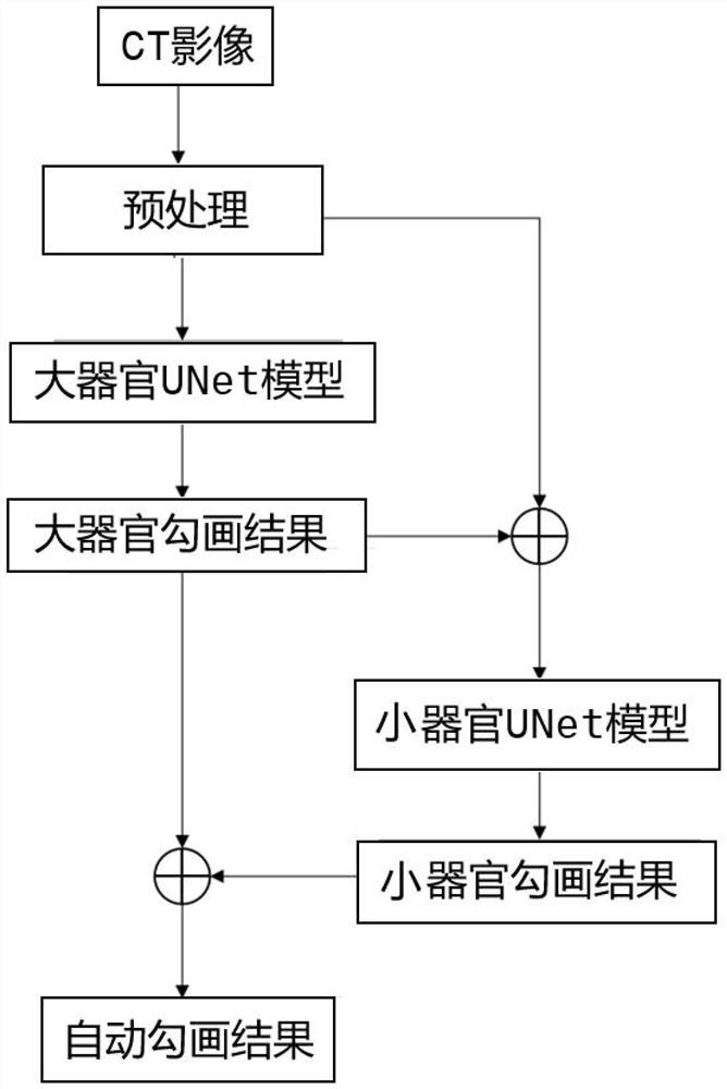 Automatic organ sketching method and device based on deep learning and radiotherapy equipment