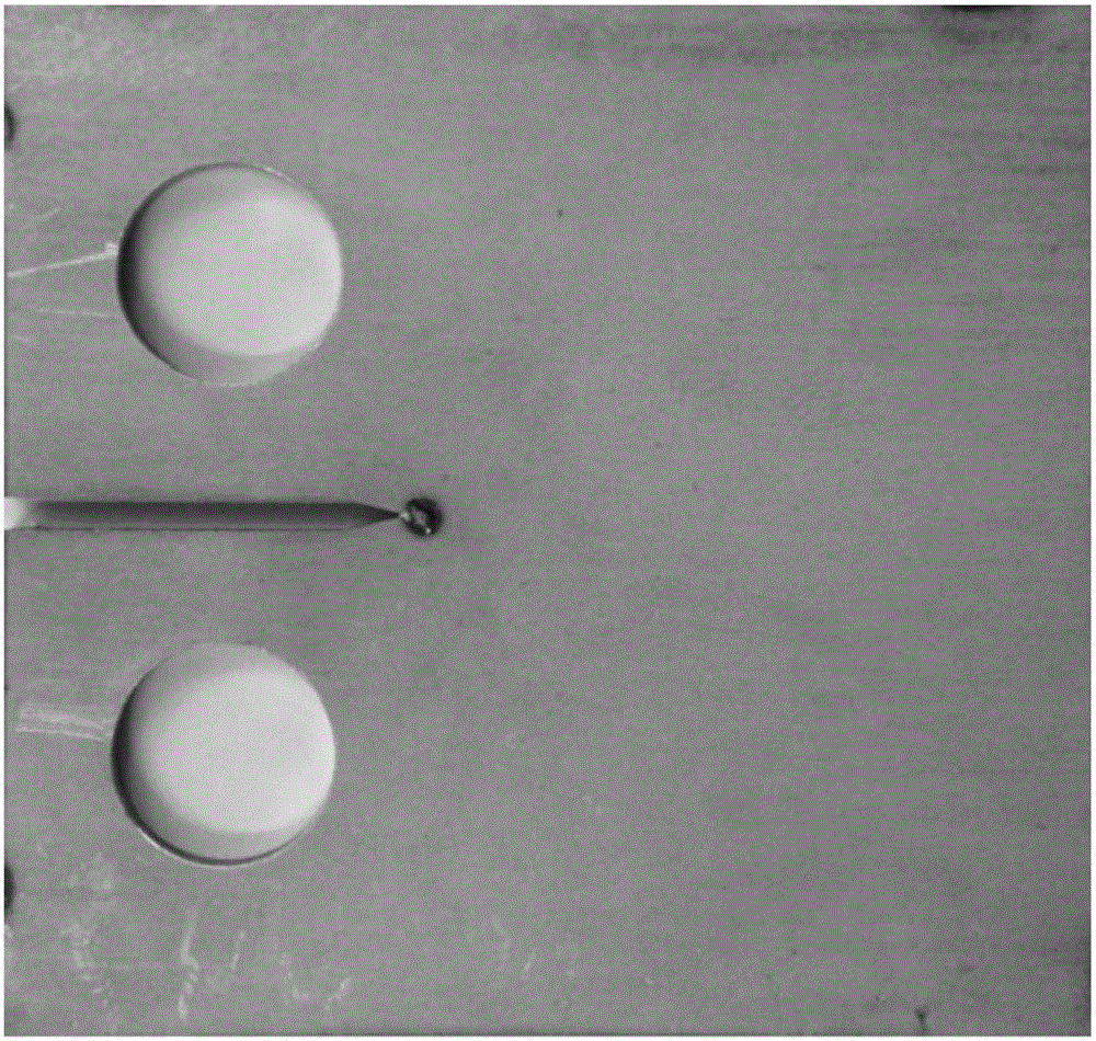 Method for repairing microcrack tip on stainless steel surface by means of nano-particles