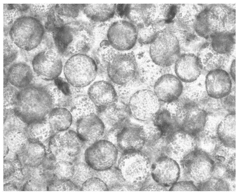 Method for extraction of Crassulaceae plant cell vacuoles