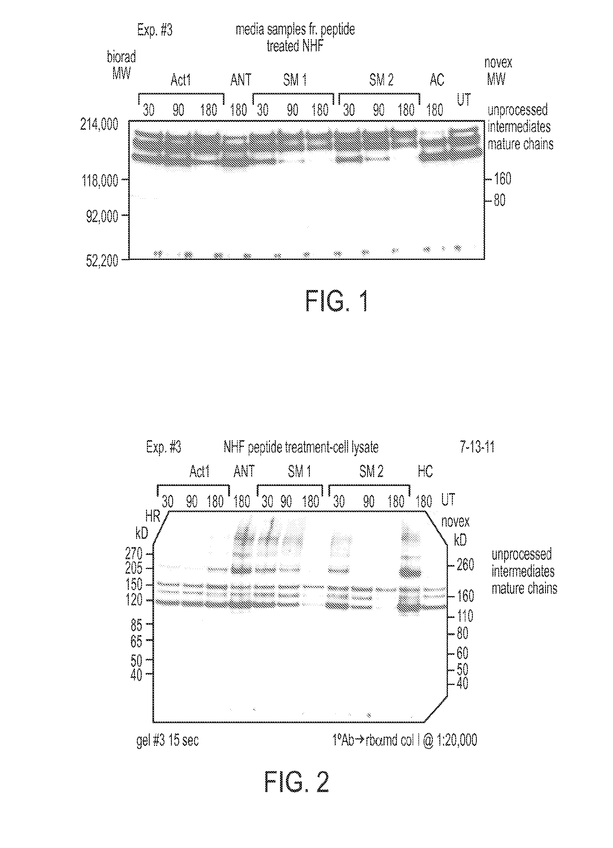 Compositions and methods for wound healing and tissue repair