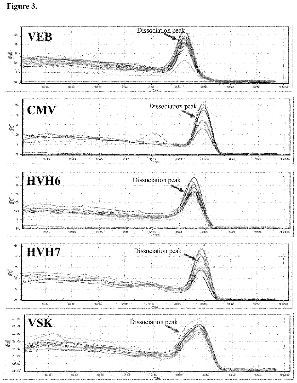 Method For The Simultaneous Detection And Quantification Of Epstein-Barr Virus, Cytomegalovirus, Human Herpesvirus 6, Human Herpesvirus 7 and Kaposi's Sarcoma Virus Using A Multiplex, Real-Time Polymerase Chain Reaction