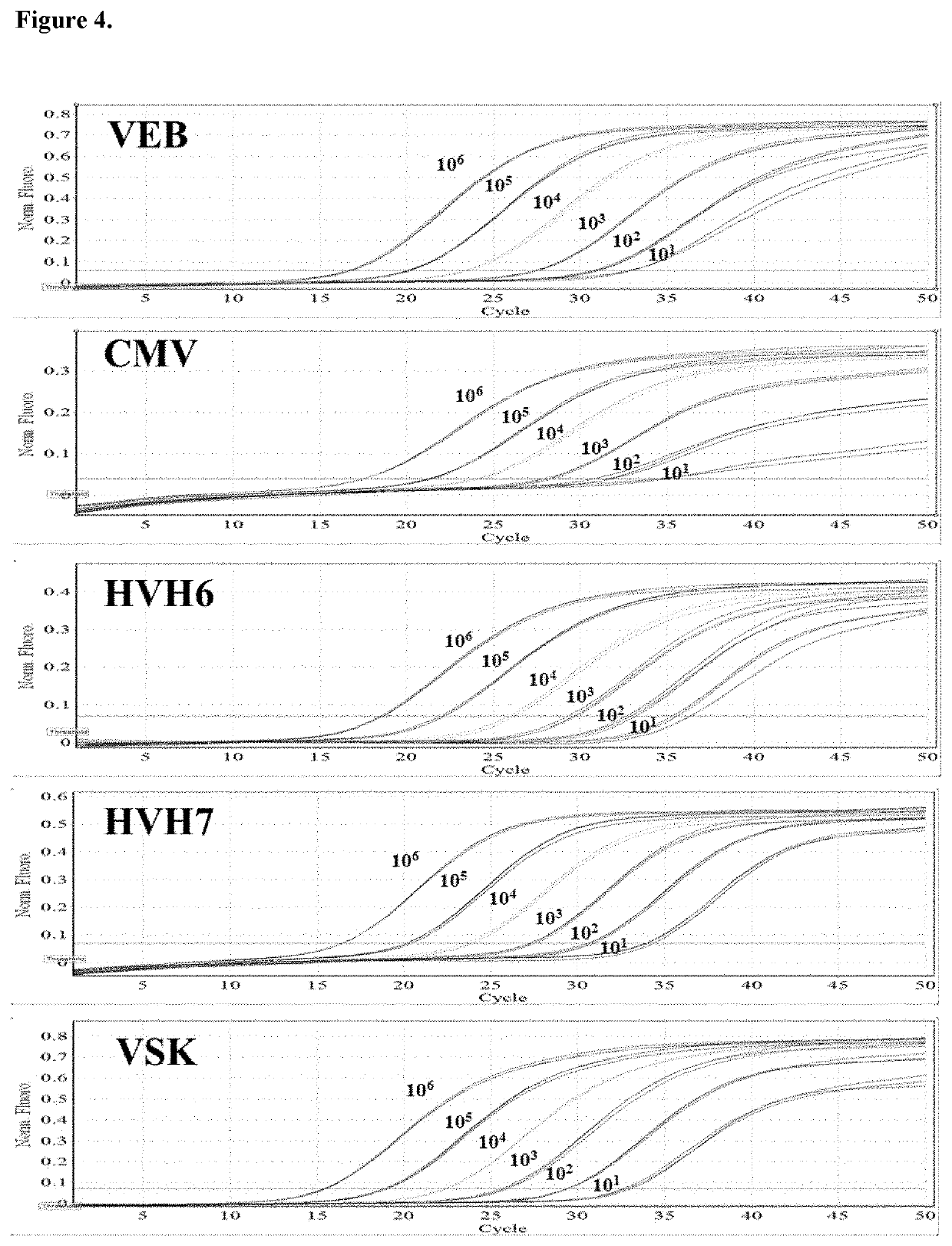 Method For The Simultaneous Detection And Quantification Of Epstein-Barr Virus, Cytomegalovirus, Human Herpesvirus 6, Human Herpesvirus 7 and Kaposi's Sarcoma Virus Using A Multiplex, Real-Time Polymerase Chain Reaction