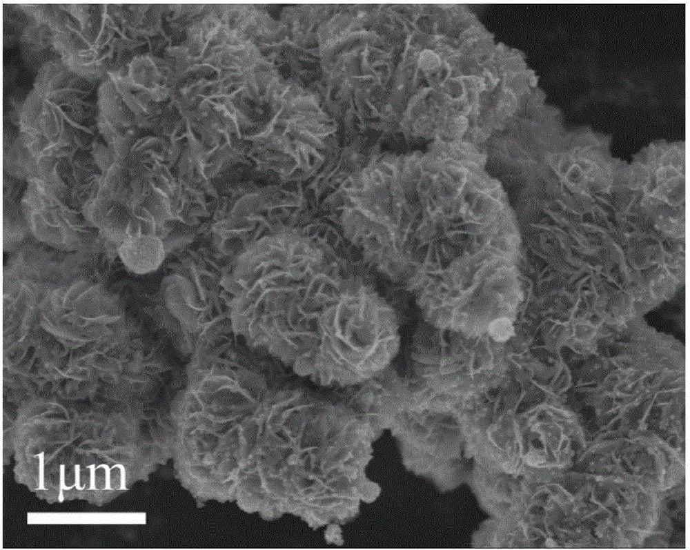 tio2 quantum dot composite mos2 nano flower heterojunction semiconductor material and preparation method thereof