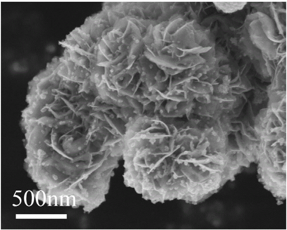 tio2 quantum dot composite mos2 nano flower heterojunction semiconductor material and preparation method thereof