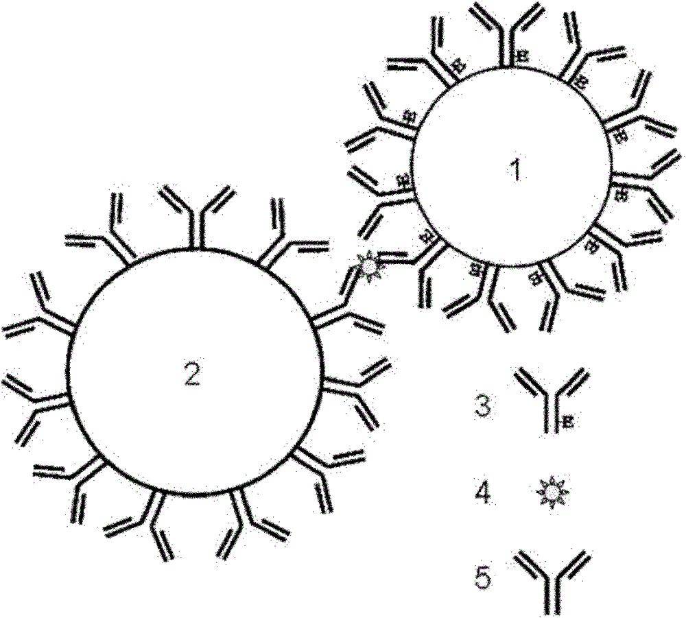 Method for greatly improving chemiluminescence magnetic enzyme immunization sensitivity by depending on polystyrene nanoparticles
