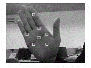 Multi-information fusion based gesture segmentation method under complex scenarios
