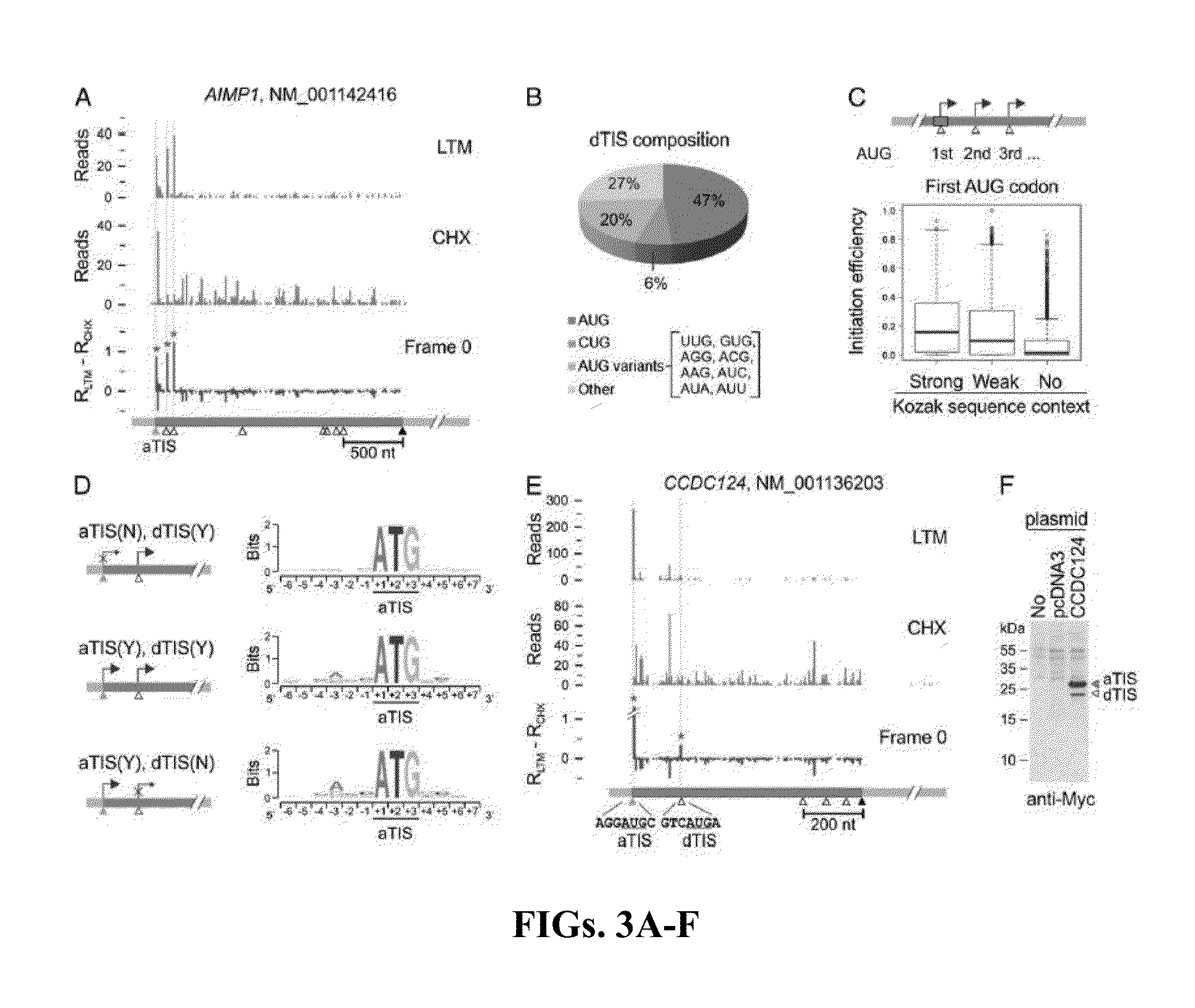 Method and kit for identifying a translation initiation site on an mRNA