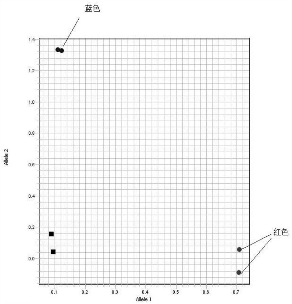 Molecular marker and application of intron 2-based identification of barley semi-dwarf multi-tiller gene hvhtd