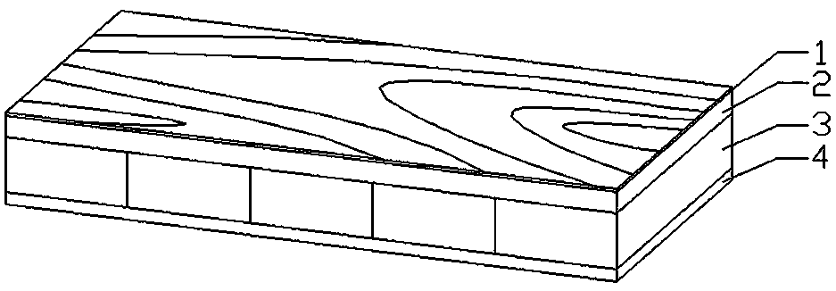 Cryptomeria fortunei three-layer solid wood composite floor and preparation method thereof