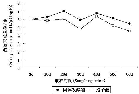 Plant root-knot nematode biocontrol bacterium as well as preparation and application thereof