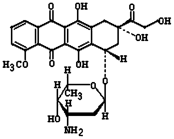 Method for synthesizing doxorubicin-coupled targeting polypeptide