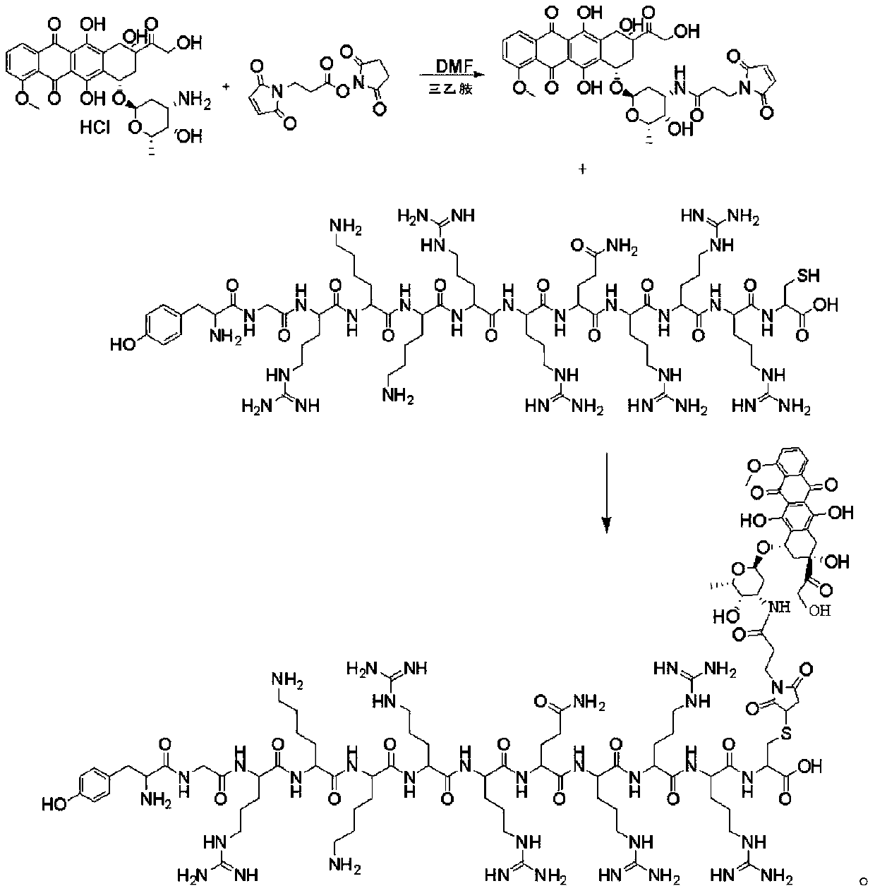 Method for synthesizing doxorubicin-coupled targeting polypeptide