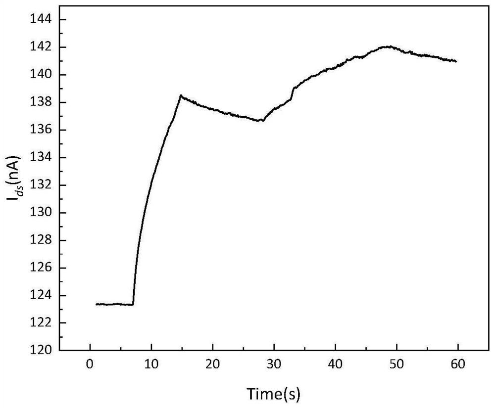 Biological phototransistor based on protein molecules and preparation method thereof