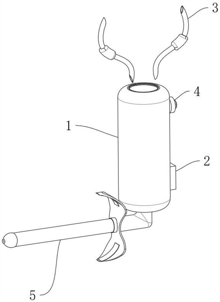 Gynecological nursing sterilizer with temperature control function