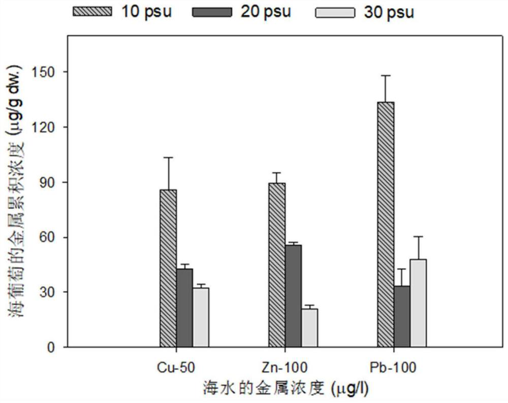 Optimized treatment method for removing heavy metals in seawater based on salinity and ion regulation