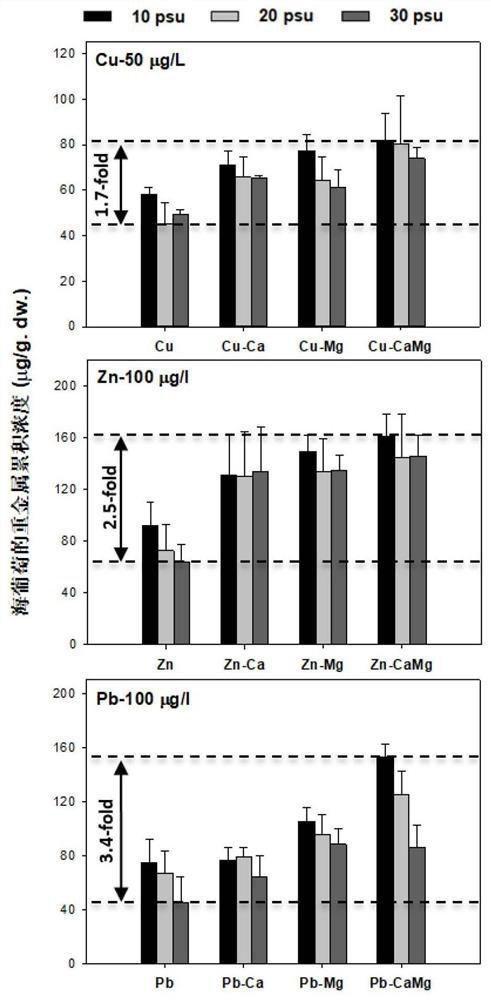 Optimized treatment method for removing heavy metals in seawater based on salinity and ion regulation