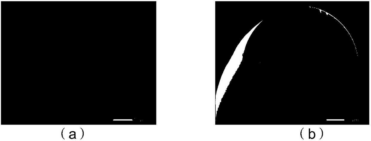 OTDR-based photonic crystal fiber ring fusing point reflection intensity determining method