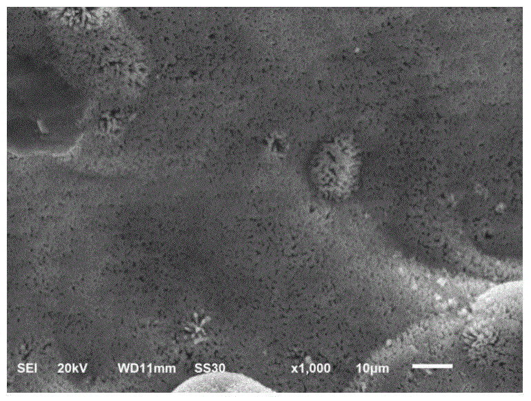 Preparation method of molecular sieve coating doped with functional atoms on the surface of medical implant material