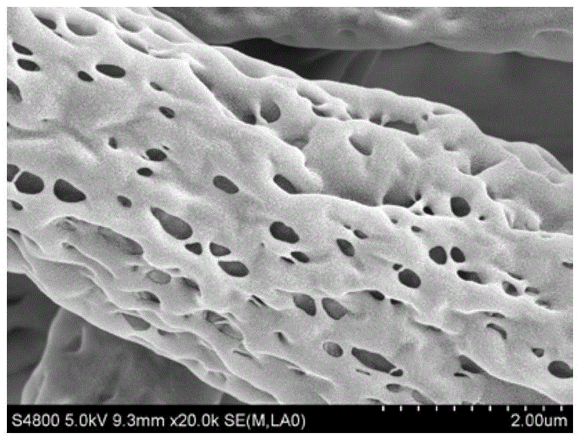 Nanoporous network fibers prepared by high-voltage electrospinning and their applications
