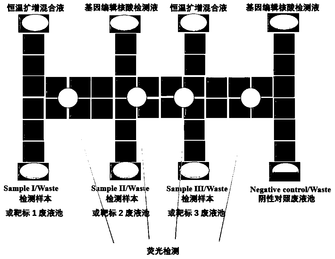 Nucleic acid detection method of digital micro-fluidic chip based on isothermal amplification and gene editing