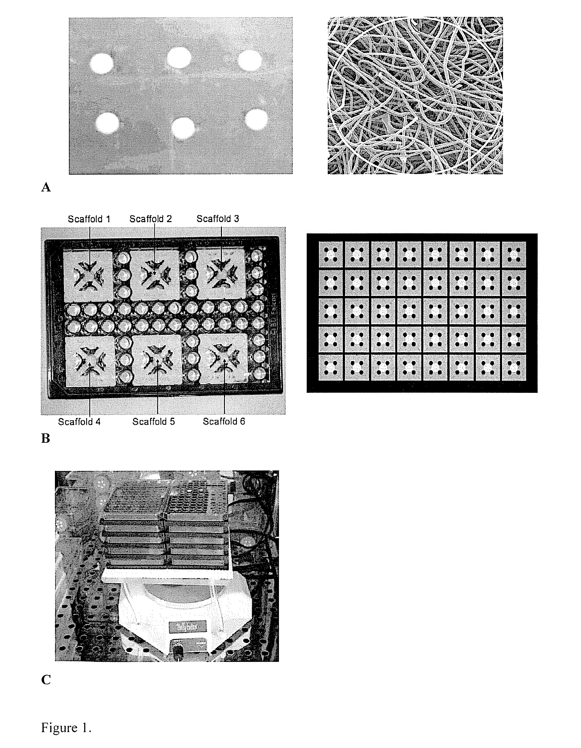 Materials and methods for cell-based assays