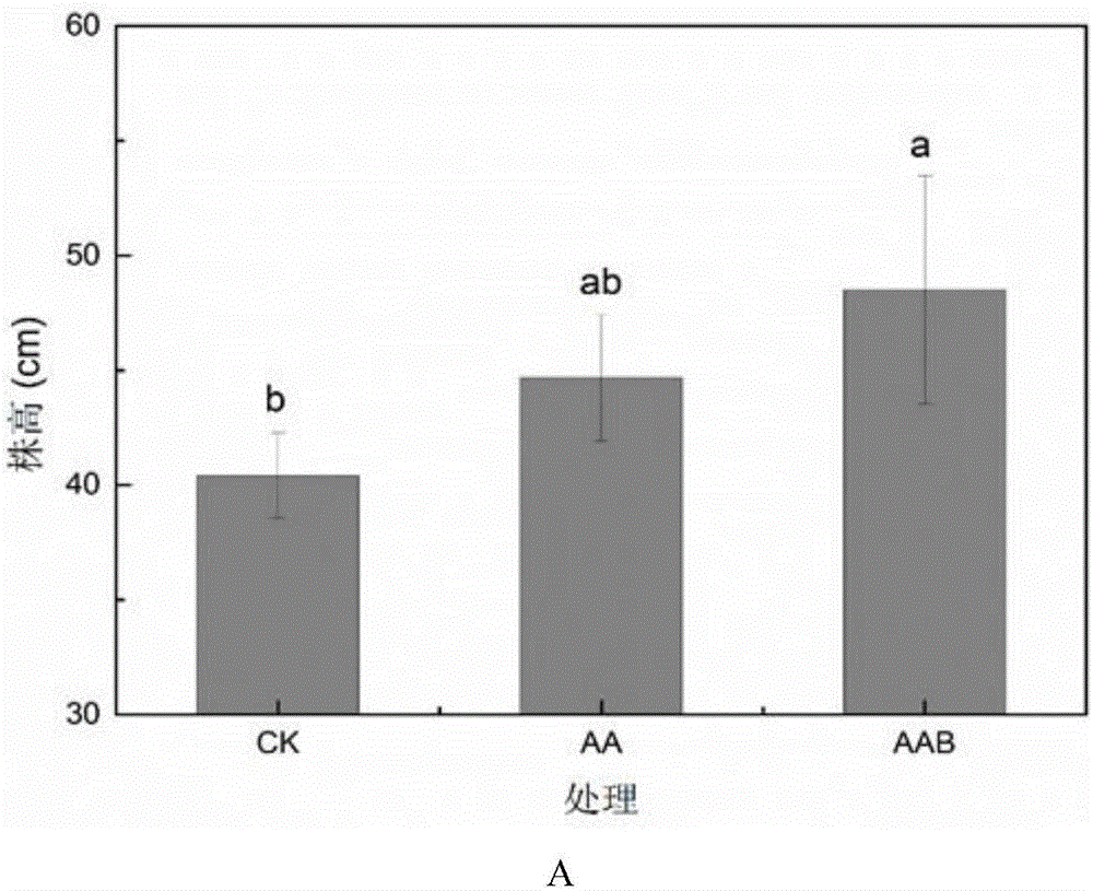 Biological surfactant produced by Enterobacter hormaechei and applications thereof