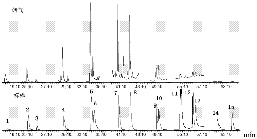 Method for detecting 17 polycyclic aromatic hydrocarbons in cigarette gas