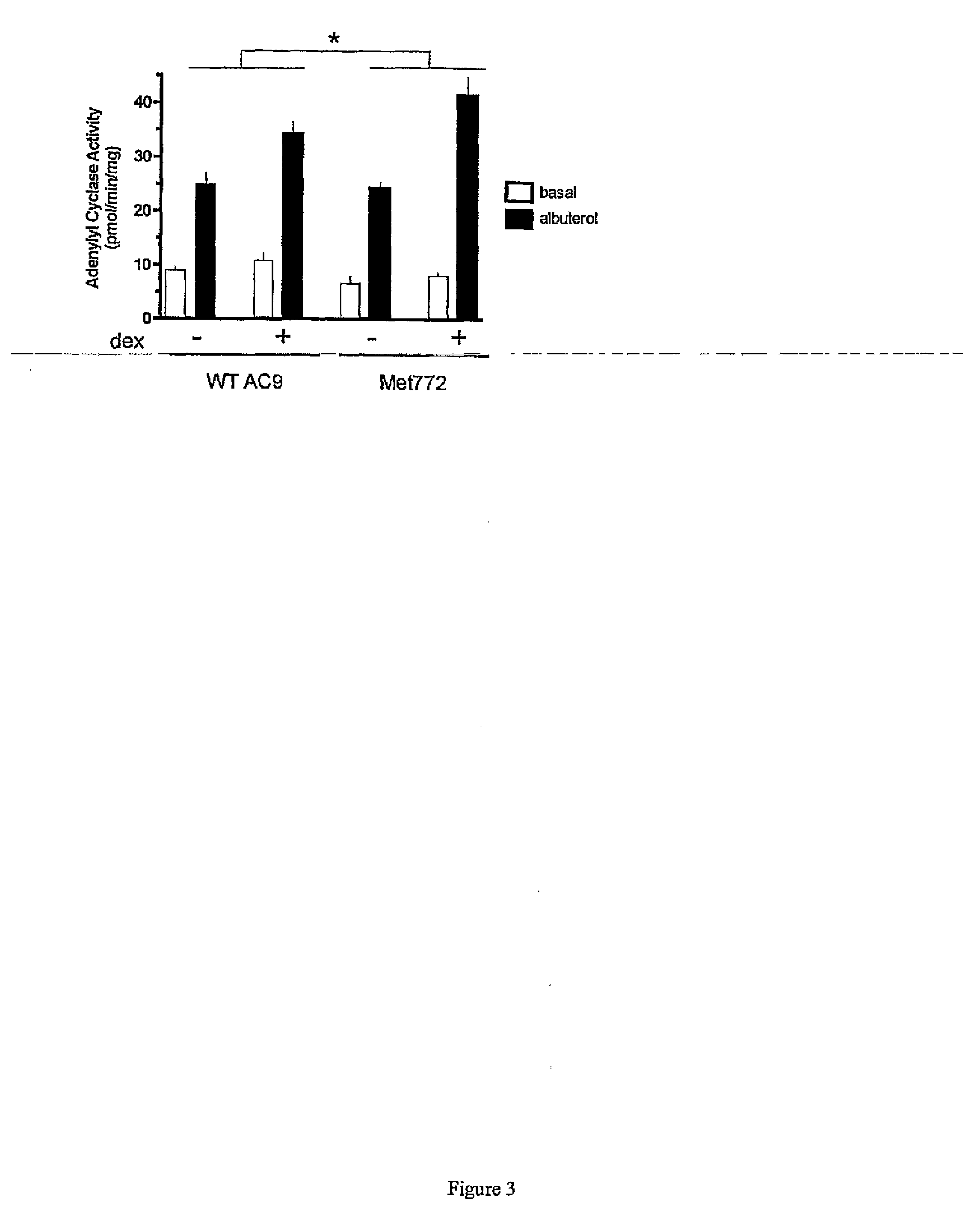 Pharmaceutical and Therapeutic Applications Relating to a Type 9 Adenylyl Cyclase Polymorphism in Asthma and Reversible Bronchial Obstruction