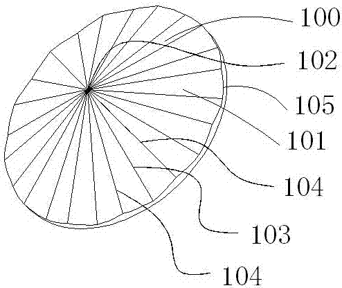 Circular police shield with guiding groove