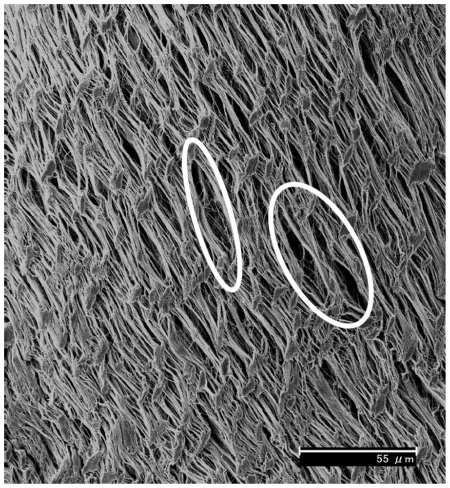 PTFE wrap film and production method thereof