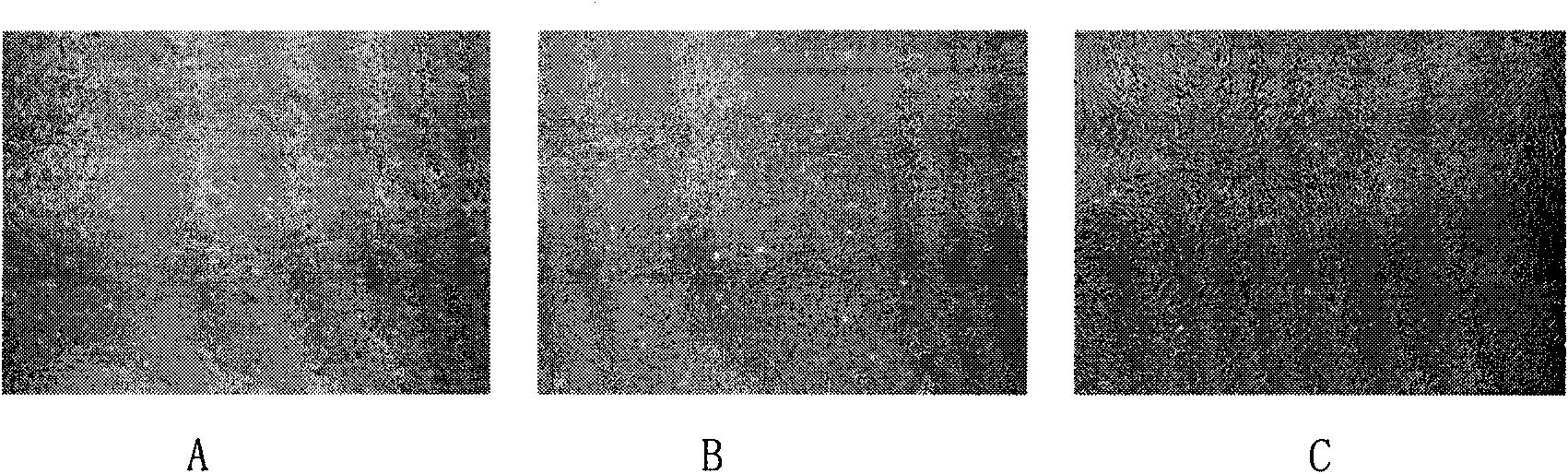 Preparation method of umbilical cord Huatong glue mesenchymal stem cells and product thereof