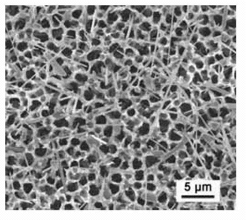 preparation-method-of-gas-sensitive-element-capable-of-detecting-nitric