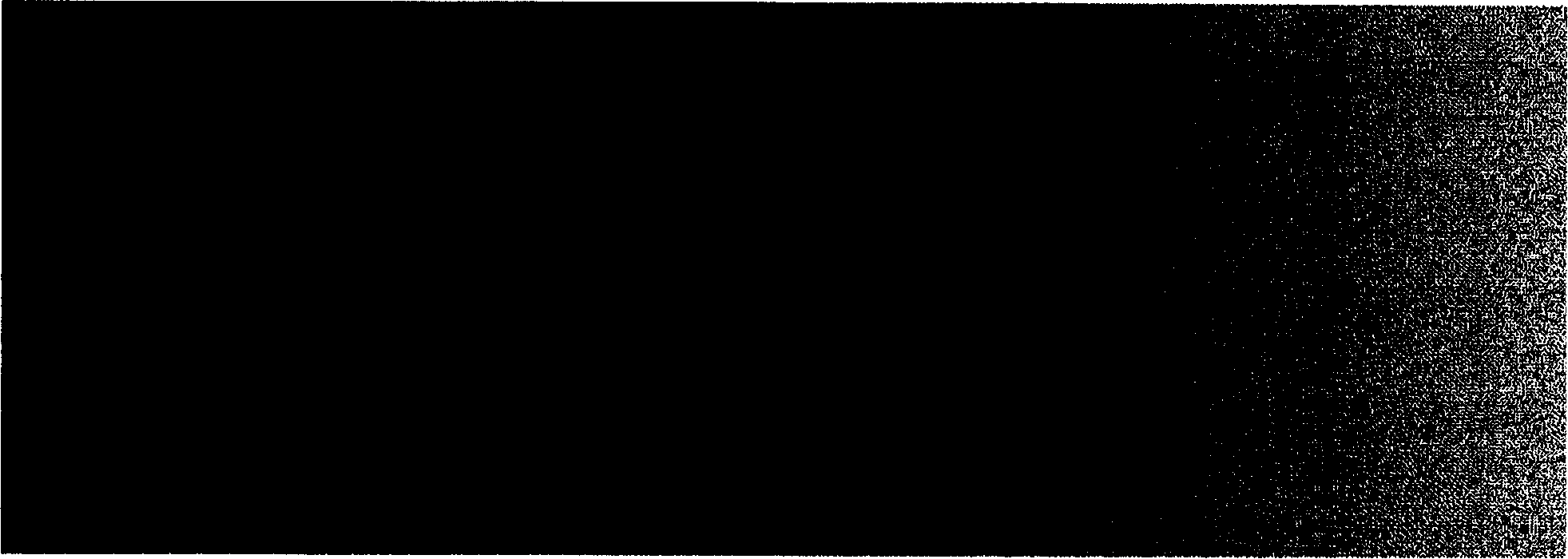 Frequency modulation Internet access method for copying images on multiple position imaging depth equipment